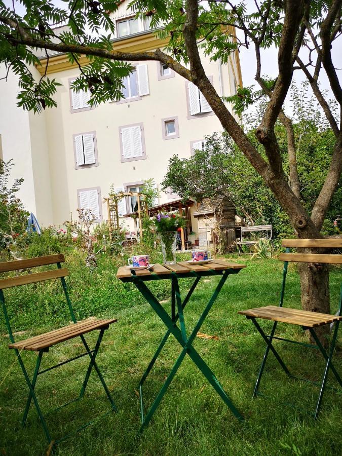 Combles & Vous Daire Colmar Dış mekan fotoğraf