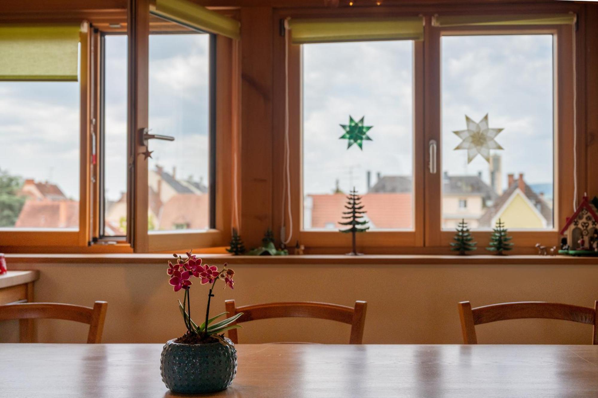 Combles & Vous Daire Colmar Dış mekan fotoğraf