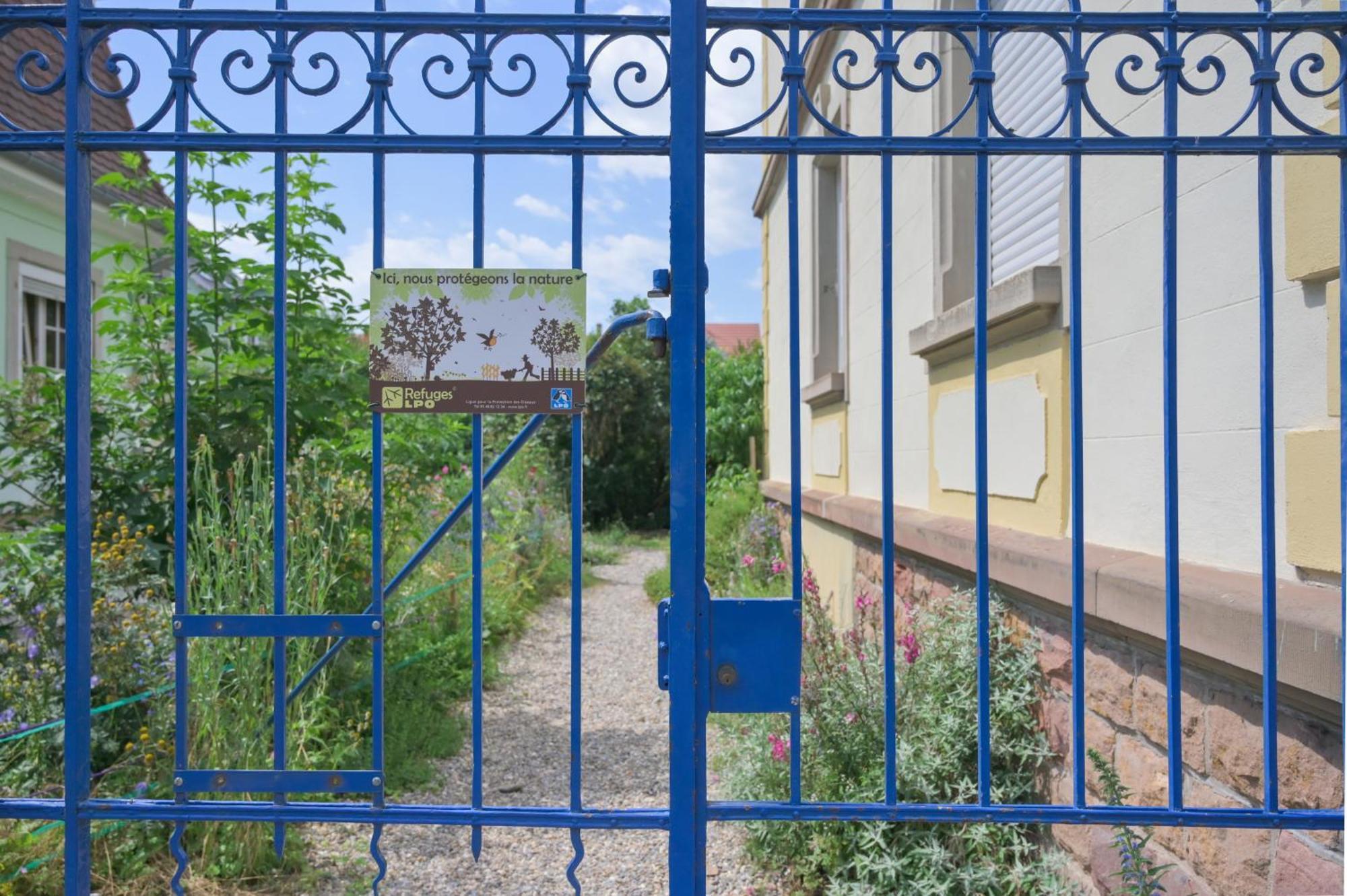 Combles & Vous Daire Colmar Dış mekan fotoğraf