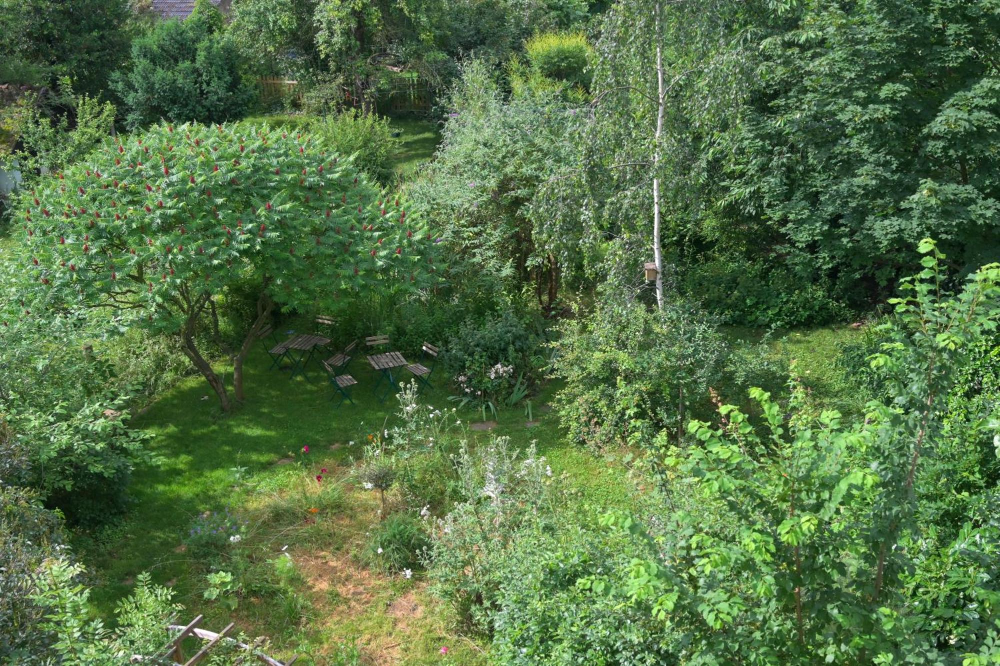 Combles & Vous Daire Colmar Dış mekan fotoğraf